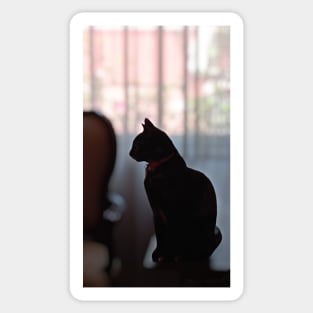 silueta de gato negro Sticker
